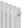 Дизайн-радиатор Royal Thermo Insignia C2180 8 секций RAL9016