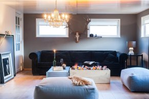 Очаг Dimplex Cassette C1000 PS