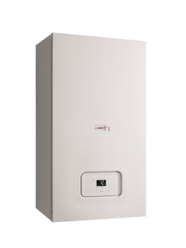 Настенный газовый котел Protherm Рысь К 25/30 MKV