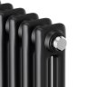 Дизайн-радиатор Royal Thermo Insignia C2180 12 секций RAL9005m