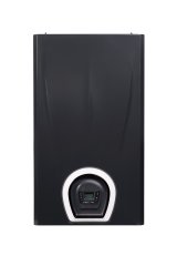 Настенный газовый котел Federica Bugatti 32В VARME Black