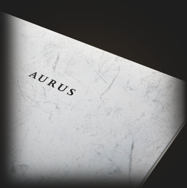 Проточный водонагреватель AURUS AWH I 8.8 IN White Marble