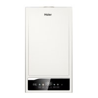 Настенный газовый котел Haier EliteLine 1.24TW