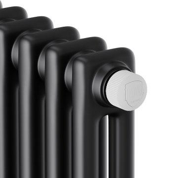 Дизайн-радиатор Royal Thermo Insignia VC2180 6 секций Noir Sable