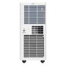 Мобильный кондиционер AC ELECTRIC ACE-09 TR/N6 Diona