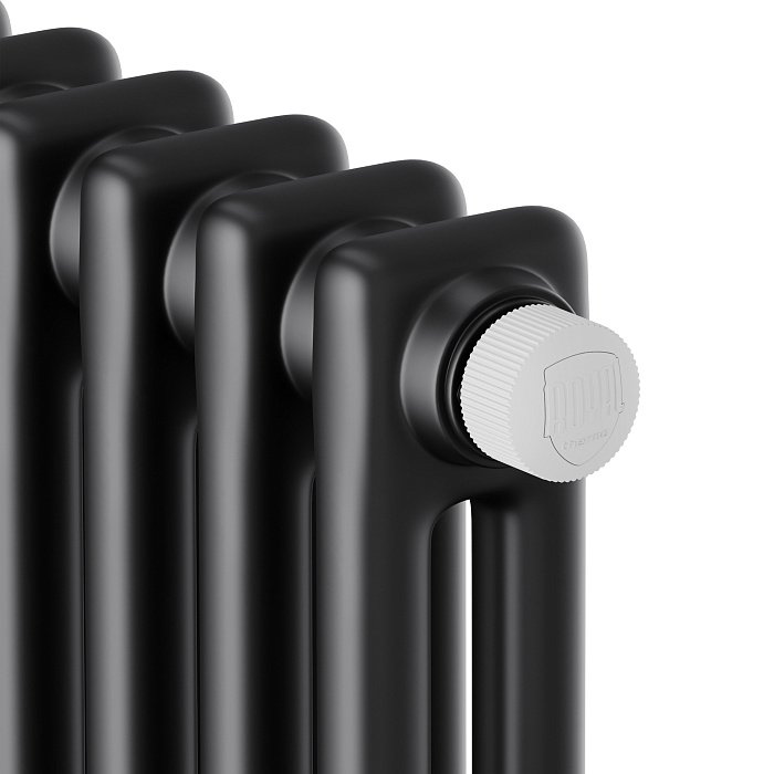 Дизайн-радиатор Royal Thermo Insignia VC2180 10 секций Noir Sable