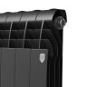 Биметаллический радиатор отопления Royal Thermo BiLiner B 500 10 секций Noir Sable